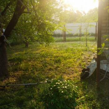 Продается Дом, 50 м²