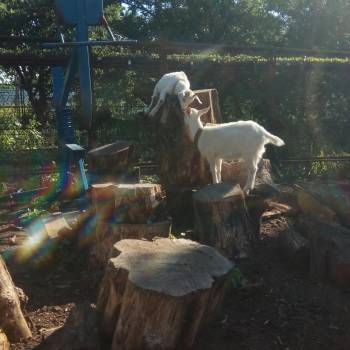 Продается Дом, 70 м²