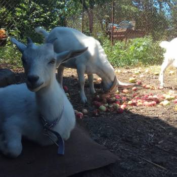 Продается Дом, 70 м²