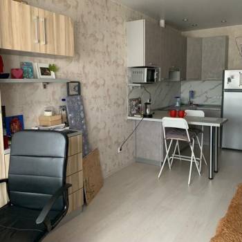 Продается 1-комнатная квартира, 26,4 м²