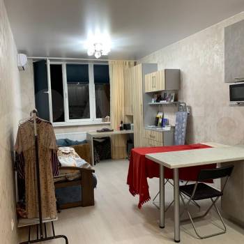 Продается 1-комнатная квартира, 26,4 м²