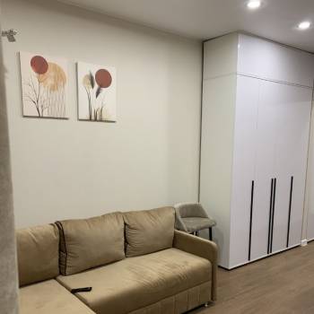 Сдается 1-комнатная квартира, 22,6 м²