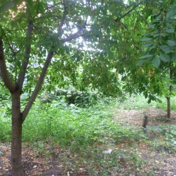 Продается Дом, 180 м²