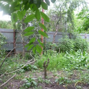 Продается Дом, 180 м²