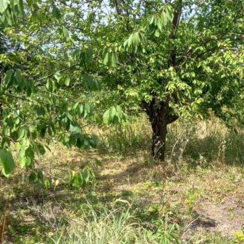 Продается Дом, 20 м²