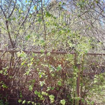 Продается Дом, 30 м²