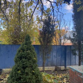 Продается Дом, 176 м²