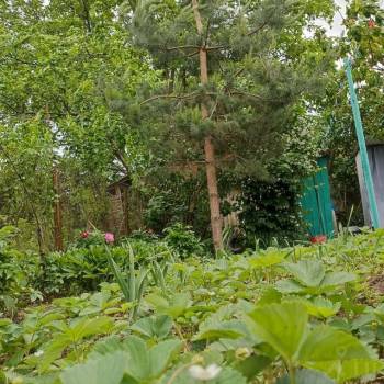 Продается Участок, 559 м²