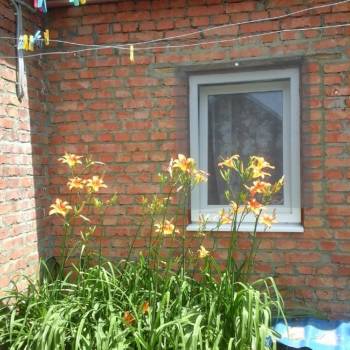 Сдается Комната, 7 м²