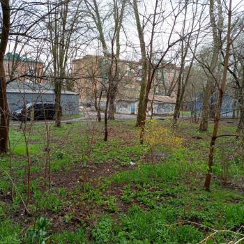 Сдается 1-комнатная квартира, 30 м²