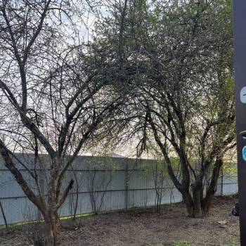 Продается Участок, 800 м²