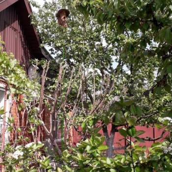 Продается Участок, 800 м²