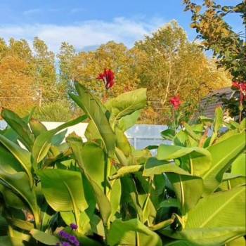 Продается Дом, 134 м²