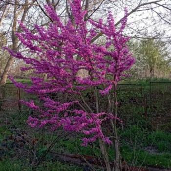 Продается Дом, 136 м²