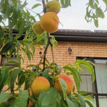 Продается Дом, 82 м²