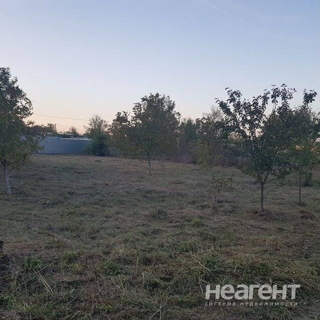 Фотография №2