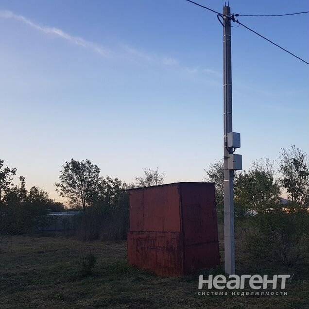 Фотография №3