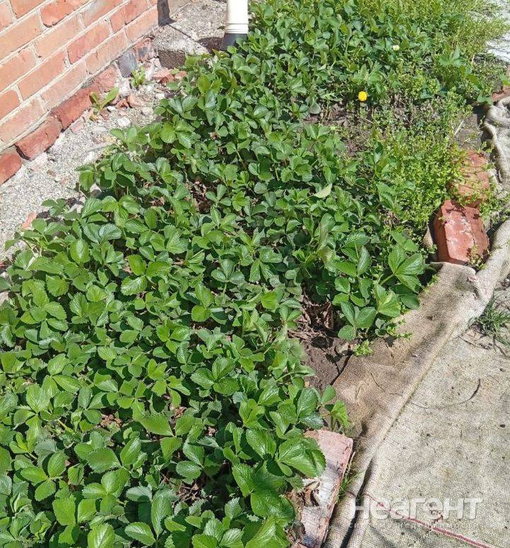 Продам дом, ст. Старокорсунская, ул. Закрытая