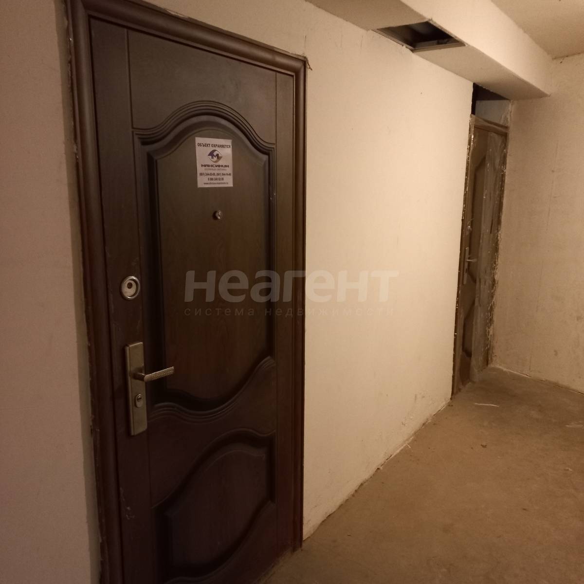 Фотография №11