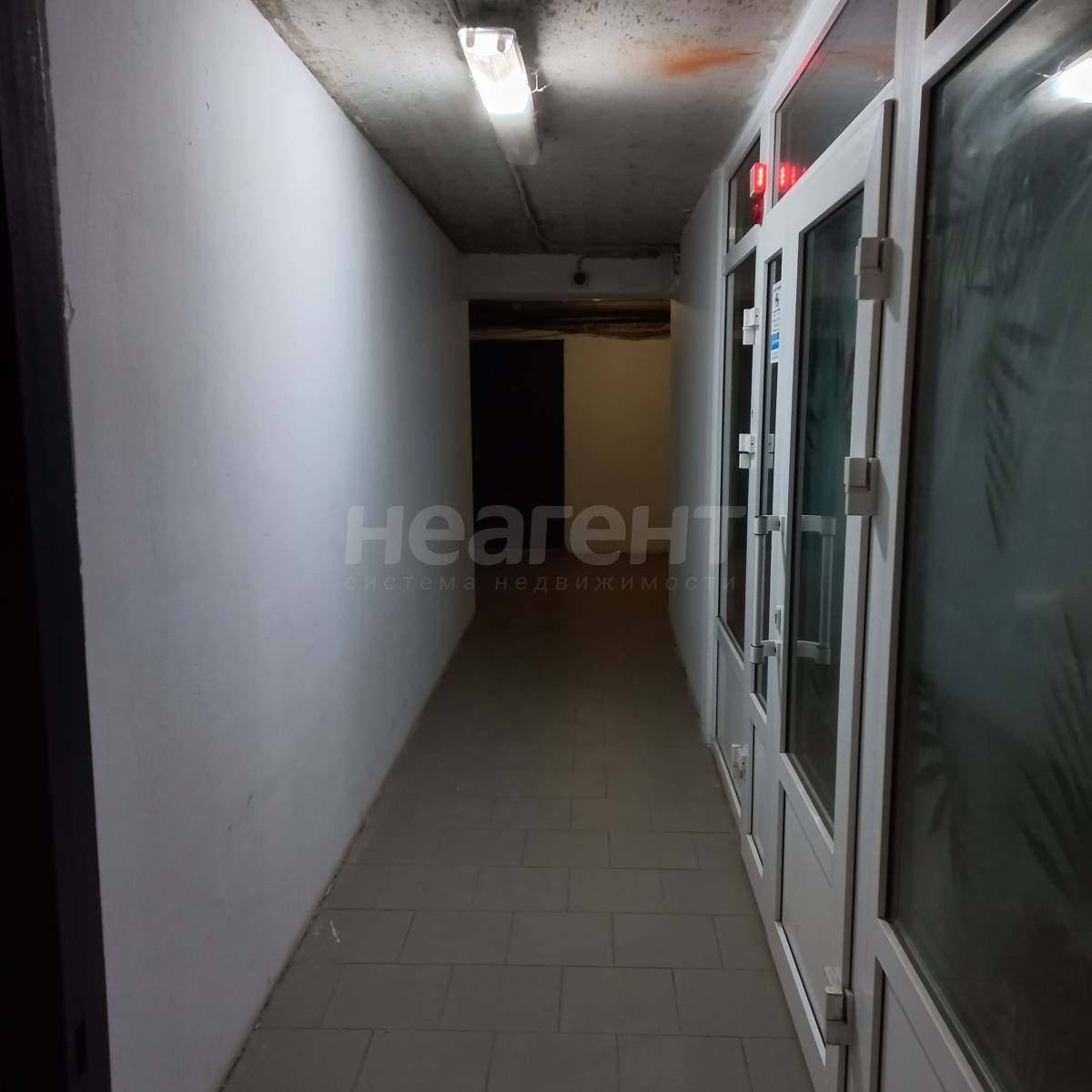 Фотография №2