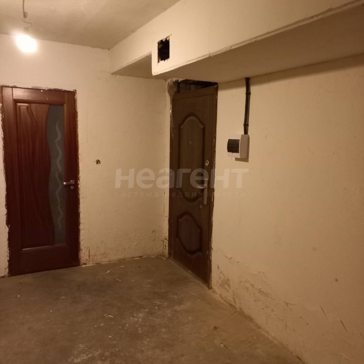 Фотография №7