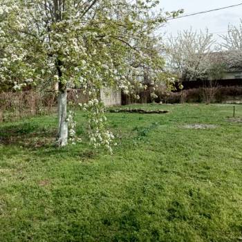 Продается Участок, 450 м²