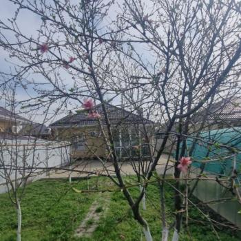 Продается Дом, 85 м²