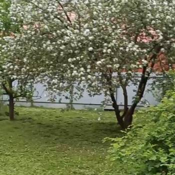 Продается Участок, 800 м²