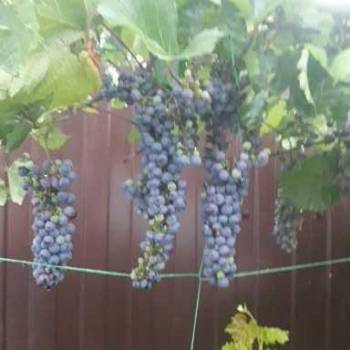 Продается Дом, 107,7 м²