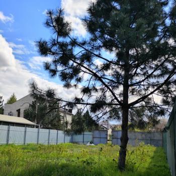 Продается Участок, 560 м²