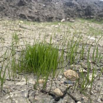 Продается Участок, 1000 м²