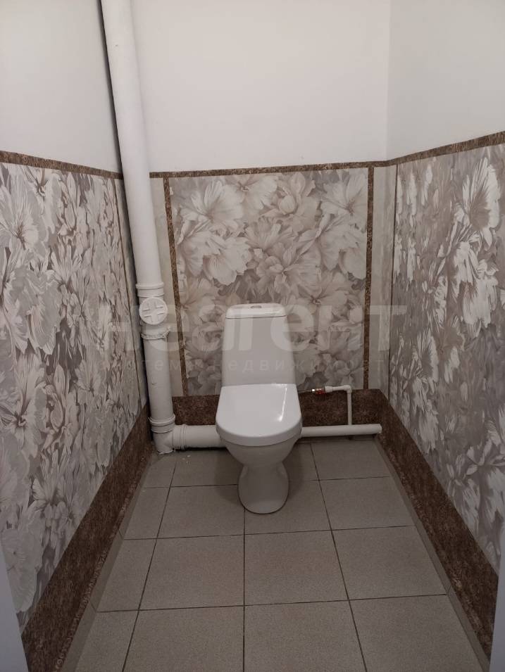 Фотография №12