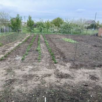 Продается Участок, 800 м²