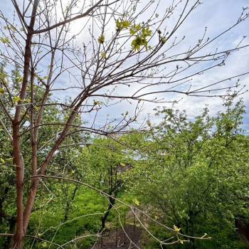 Продается 1-комнатная квартира, 34 м²