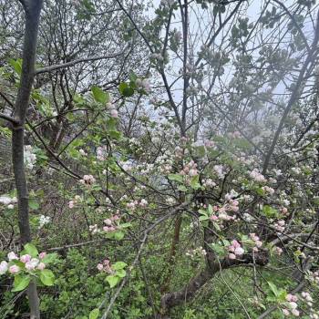 Продается Дом, 20 м²