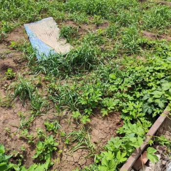 Продается Участок, 600 м²