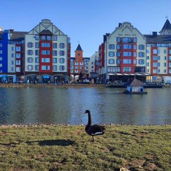 Продается 1-комнатная квартира, 40,6 м²