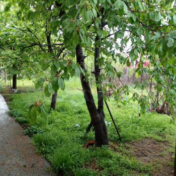 Продается Дом, 192 м²