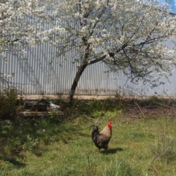 Продается Дом, 268 м²