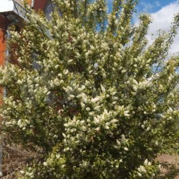 Продается Дом, 268 м²