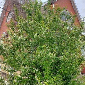 Продается Дом, 268 м²