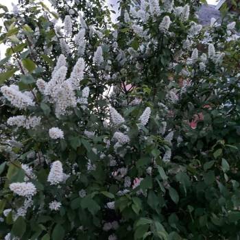 Продается Дом, 268 м²