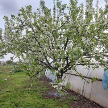 Продается Дом, 268 м²