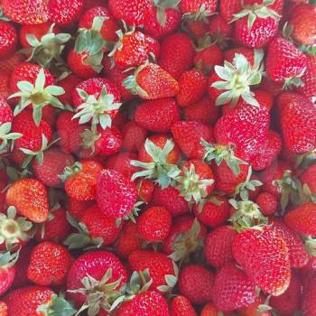 Продается Дом, 268 м²