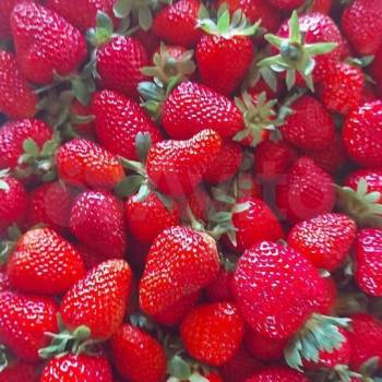 Продается Дом, 268 м²