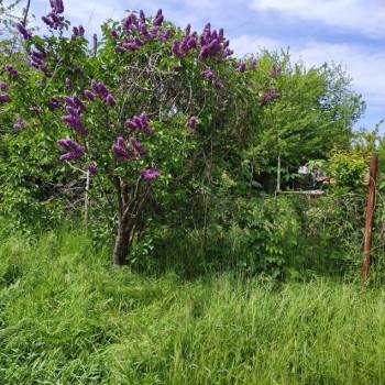 Продается Участок, 600 м²