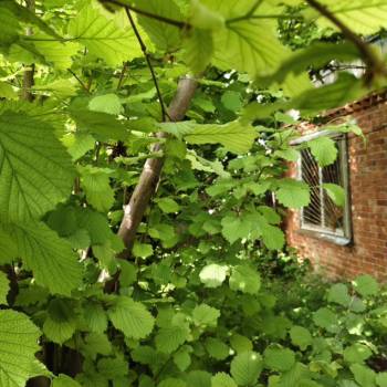 Продается Участок, 600 м²