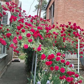 Продается Участок, 300 м²