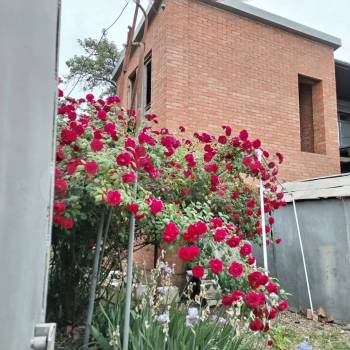 Продается Участок, 300 м²