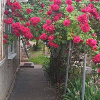 Продается Участок, 300 м²